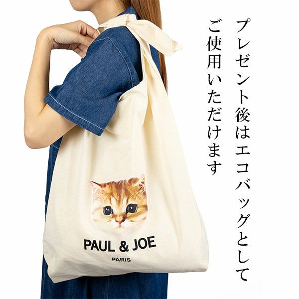 エコバッグラッピング】ふわふわジプシージャガード プルオーバー